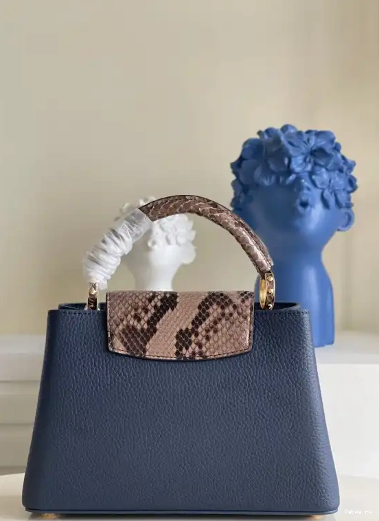VUITTON BB CAPUCINES LOUIS 0430